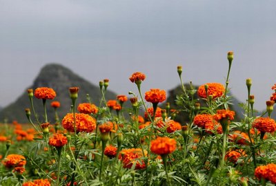 日本好看女生高级感美妆